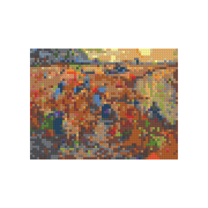 51,2 x 38,4 cm